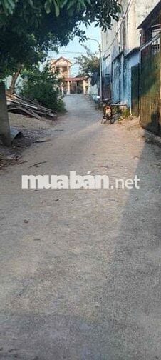 Hoa khôi kiệt Mai Đăng Chơn giá tốt cho A/C