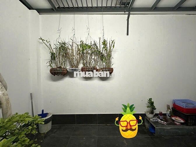 Bán nhà mới 130m2 ngang 5.1m sổ vuông xây đúc 7Tầng có hầm + thang máy