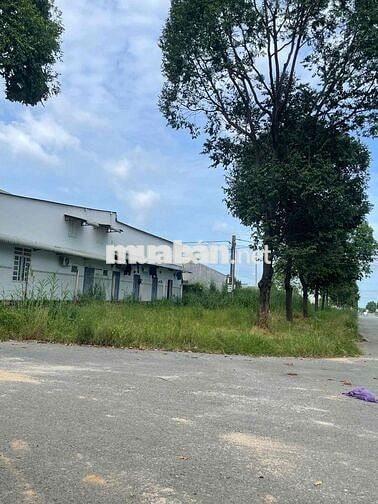 Chủ gửi ra gấp lô đất mặt tiền 9m