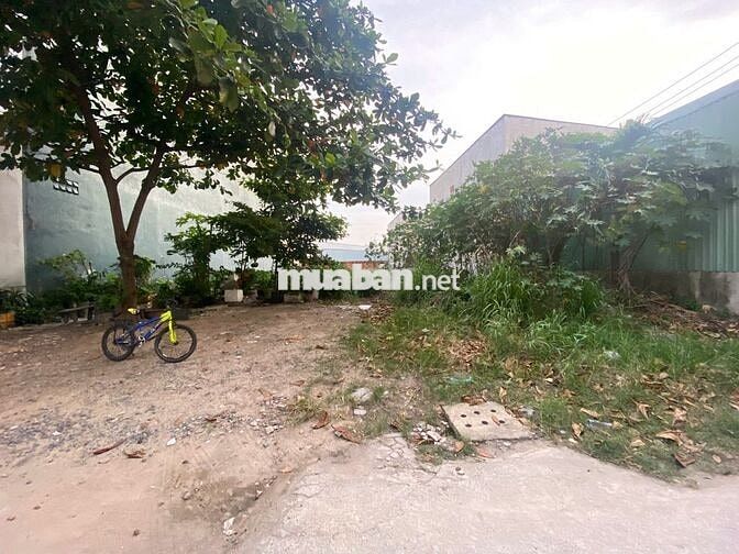BÁN 640M2 ĐẤT Ở TẠI TT HÓC MÔN, CÁCH MT NHỰA MỘT CĂN, 500M ĐẾN CHỢ HM