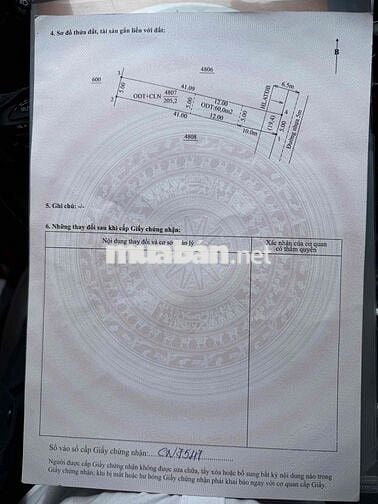 Đất mặt nhựa chánh phú hoà bán rẻ cho người hữu duyên