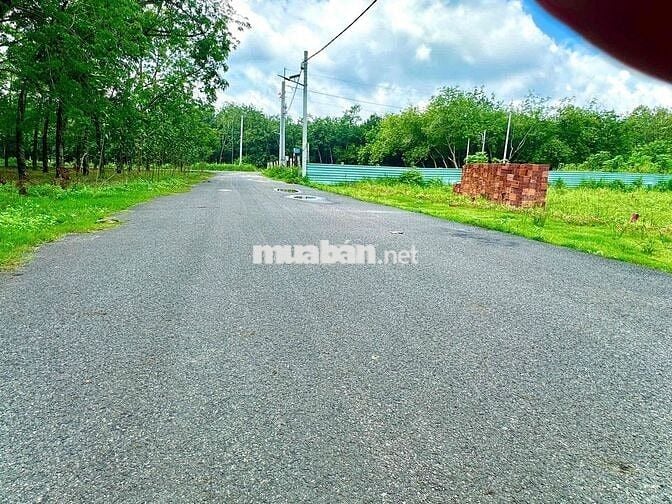 Đất mặt nhựa chánh phú hoà bán rẻ cho người hữu duyên
