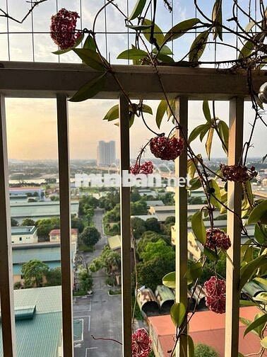 Siêu phẩm K33 – 75m²,2PN, view Trung tâm Triển lãm, giá chỉ hơn 4 tỷ