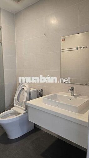 Cho thuê CH Ascent Lakeside, DT 93.5m2/ 2PN, nội thất đầy đủ, giá 15tr