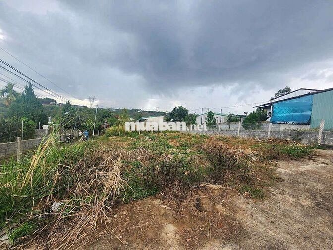 Đất hẻm 2 mặt tiền nhựa phường 2 bảo lộc