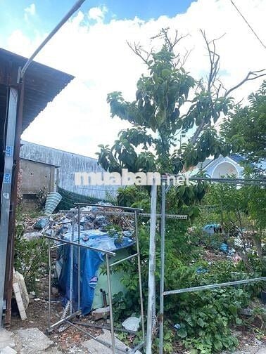 Đất chính chủ 157m² Linh Xuân Hẻm ô tô 5m, sát ĐH Kinh tế Luật 8,9 Tỷ