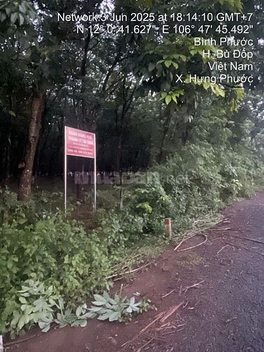 Công ty Đấu giá hợp danh Lam Sơn Sài Gòn THÔNG BÁO ĐẤU GIÁ TÀI SẢN