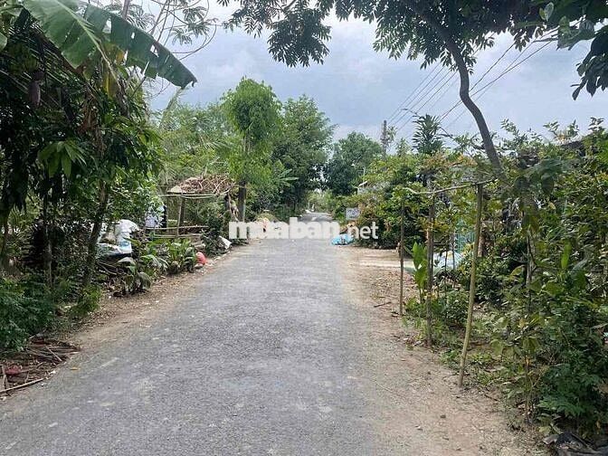Bán nhà Rẻ, Đẹp, Lộ Ô Tô Kdc Tân Bình - Tân Quới - Vĩnh Long
