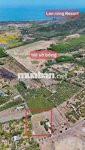 Thị trấn Phước Hải 274m ngang 10x27 thổ cư view núi