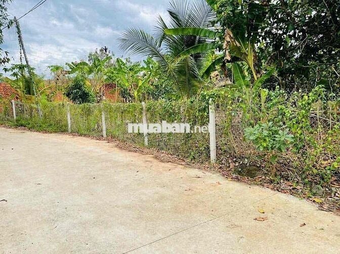 BÁN ĐẤT SÀO SÔNG THAO GIÁP TÂY HOÀ 05