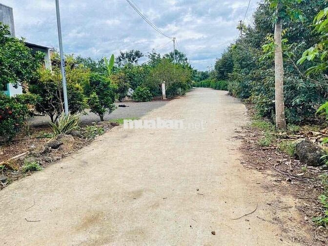 BÁN ĐẤT SÀO SÔNG THAO GIÁP TÂY HOÀ 05
