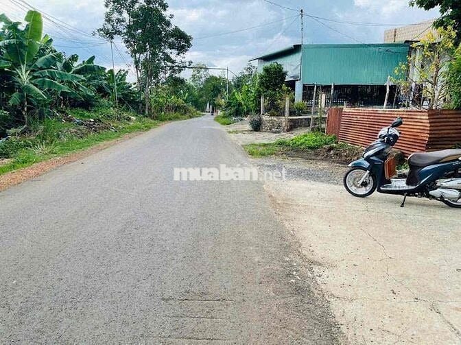 BÁN ĐẤT SÀO SÔNG THAO GIÁP TÂY HOÀ 05