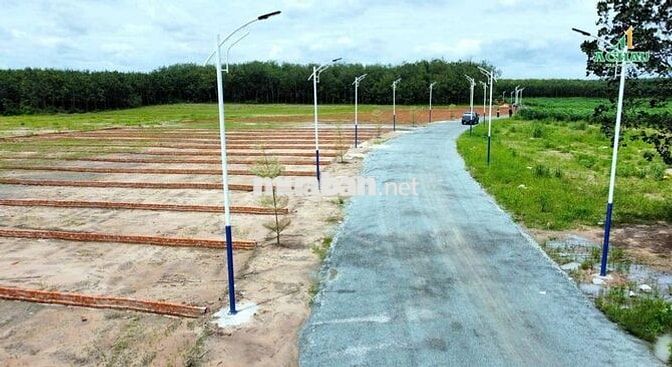250m2, thổ cư 50m2, giá, 450tr,đối diện trường Tiểu học Minh Thắng