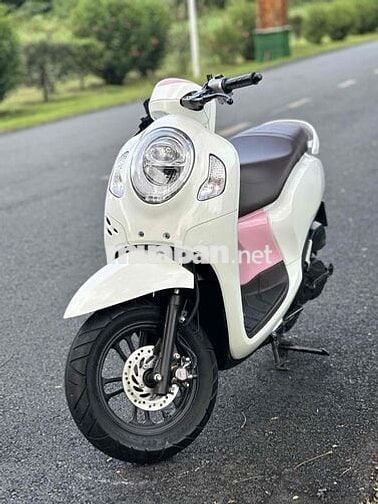 ✅✅ Scoopy 2023. Zin Nguyên Bản. Siêu Keng Ngay Chủ