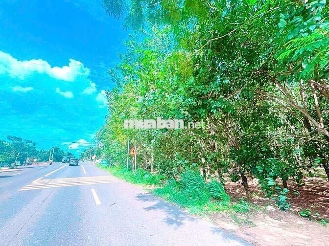 1.03HA - MT VÕ VĂN KIỆT - BÁN GẤP !