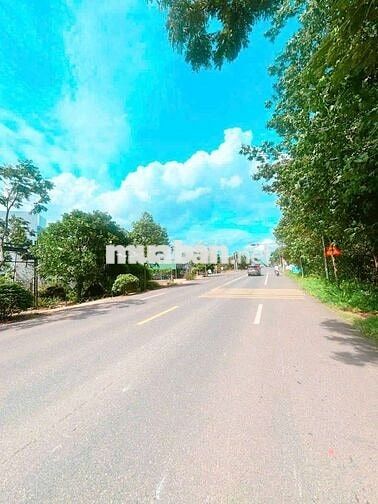 1.03HA - MT VÕ VĂN KIỆT - BÁN GẤP !