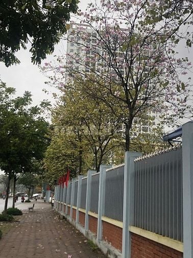 Bán nhà 75 m x1 tầng , trong ngõ phố Liễu Giai, quận Bđs, gần quận uỷ