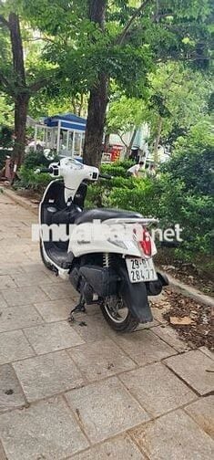 Yamaha noza 2017