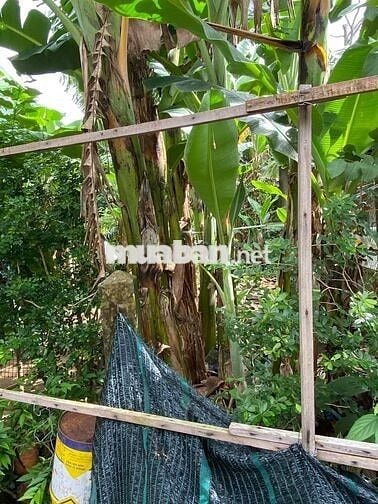 ĐẤT PHƯỜNG TRUNG AN TỈNH ĐỒNG THÁP
