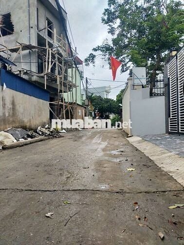 Cần bán 43m2 đường trục chính Phụng Châu. Giá 2.96 tỷ
