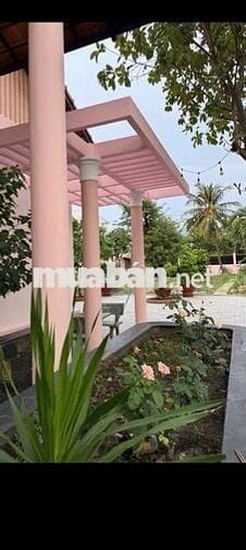 BIỆT THỰ NHƯ MỚI VÀO XEM ƯNG NGAY,DT30*60M,2PN,SÂN BÓNG, ĐẤT TRỒNG CÂY