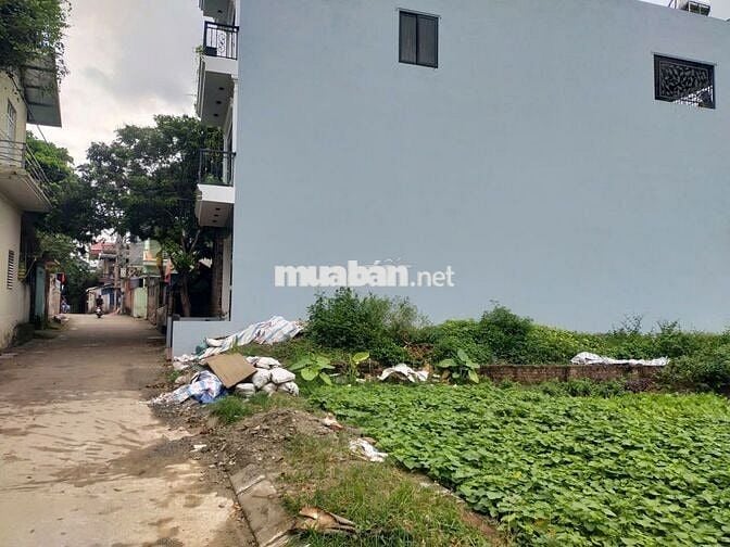 Cần bán 43m2 đường trục chính Phụng Châu. Giá 2.96 tỷ Cần bán 43m2 đường trục chính Phụng Châu. Giá 2.96 tỷ