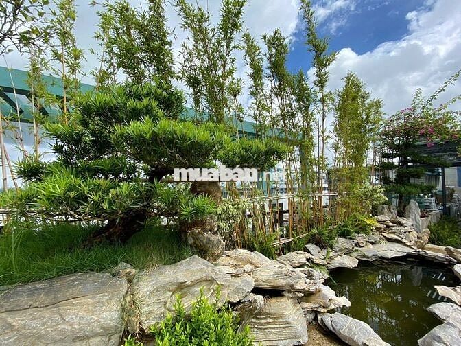 (DUPLEX) Aqua Bay Ecopark 300m 3PN + SÂN VƯỜN Sống Xanh đẳng Cấp 20 tỷ