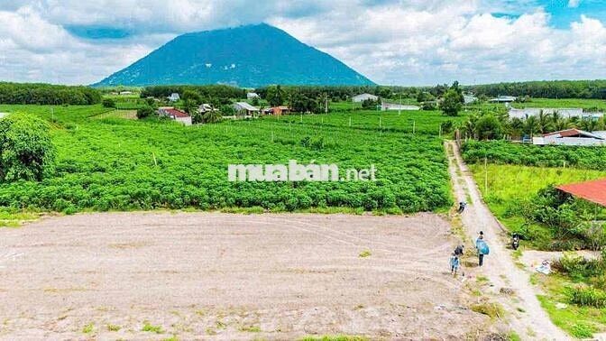 Đất Nền Full Thổ Cư Tại DMC Tây Ninh
