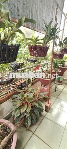 QUẬN 7 CHỈ NHỈNH 9TỶ XE HƠI ĐỔ CỔNG