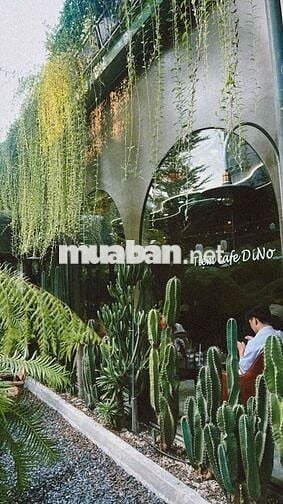 Sang Quán Cà Phê Sân Vườn Gò Vấp