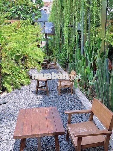Sang Quán Cà Phê Sân Vườn Gò Vấp