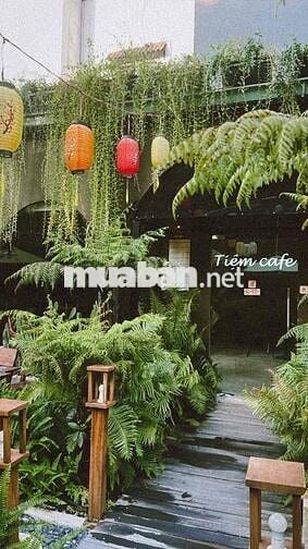 Sang Quán Cà Phê Sân Vườn Gò Vấp