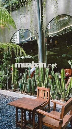 Sang Quán Cà Phê Sân Vườn Gò Vấp