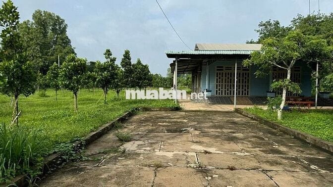 Nhà vườn 4.520m2 tại Phú Hòa Đông - Củ Chi (2 mặt đường TL15)