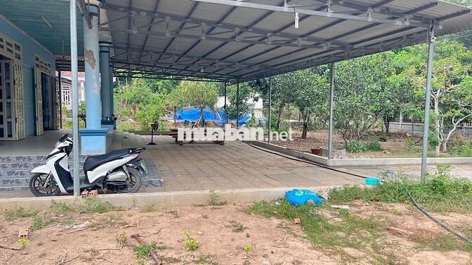 Nhà vườn 4.520m2 tại Phú Hòa Đông - Củ Chi (2 mặt đường TL15)