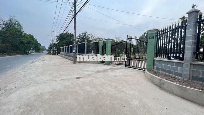 Nhà vườn 4.520m2 tại Phú Hòa Đông - Củ Chi (2 mặt đường TL15)