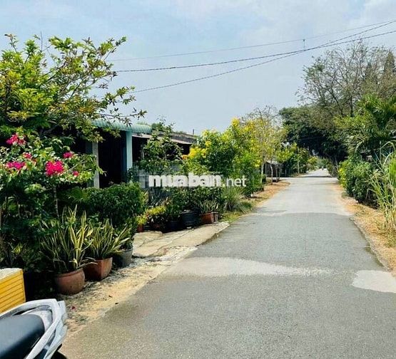 Chỉ 520tr 5,5x27(156m2) full ONT MT Nhựa Trần Văn Chẩm, Cách TL2 200m