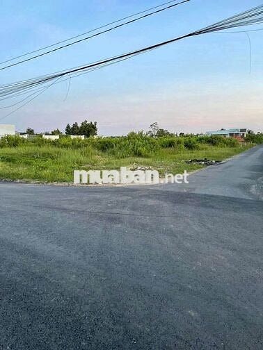 CHÍNH CHỦ BÁN ĐẤT THỔ CƯ SẴN SỔ MT ĐƯỜNG NHỰA TRUNG TÂM P.LONG THUẬN