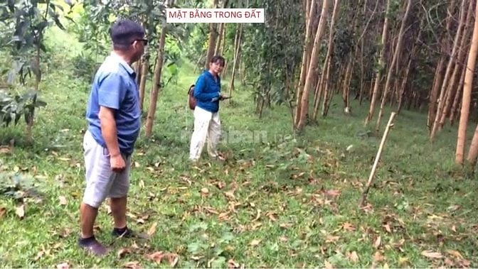 2000m2 đất KInh Đô Huế. Sổ hồng riêng. Siêu phẩm Sinh thái Nghỉ dưỡng