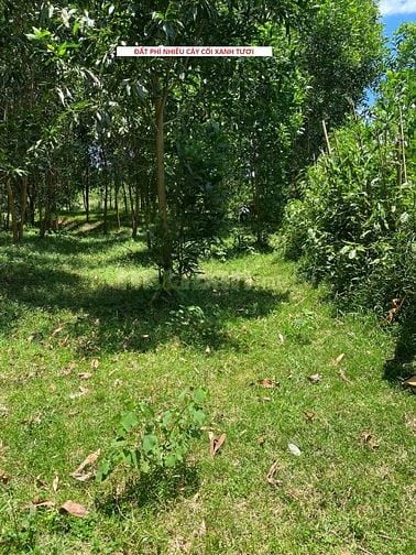 2000m2 đất KInh Đô Huế. Sổ hồng riêng. Siêu phẩm Sinh thái Nghỉ dưỡng