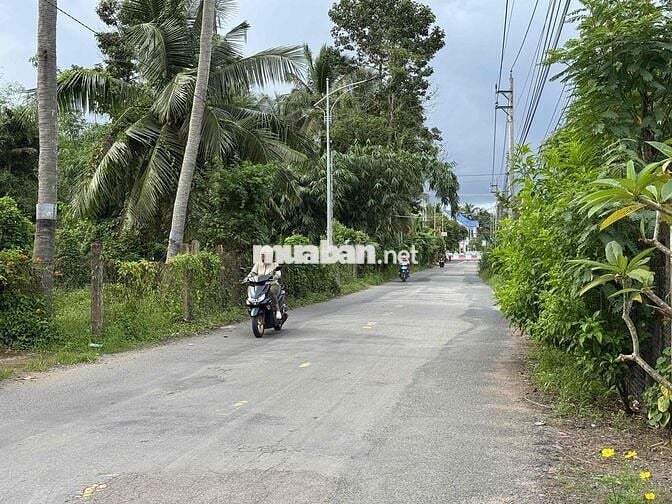 Đất nhà xưởng kho bãi + 1 cửa hàng đang bán và 1 nhà ở