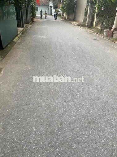 BÁN ĐẤT BIỆT THỰ TẠI GIA LÂM 175.2m, Ngõ rộng ô tô tránh nhau