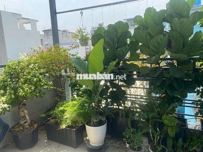 Nhỉnh 4Tỉ-Tây Thạnh-nở hậu 36M đẹp xinh-kiên cố