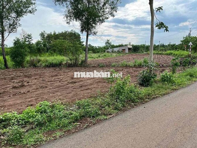 🏡 CHÍNH CHỦ BÁN ĐẤT ĐẸP TẠI XÃ LÂM SAN, HUYỆN CẨM MỸ – ĐỒNG NAI