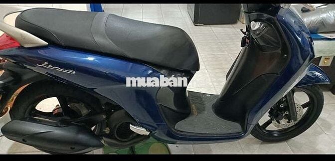 Janus Smk 9 chủ ký giấy tờ