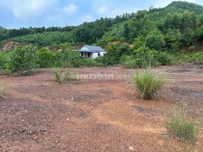 🌺 CHỈ 4xx TR*IỆU 🌺 ⭐️ Sở hữu ngay lô đất gần 250m2 có 70m2 thổ cư