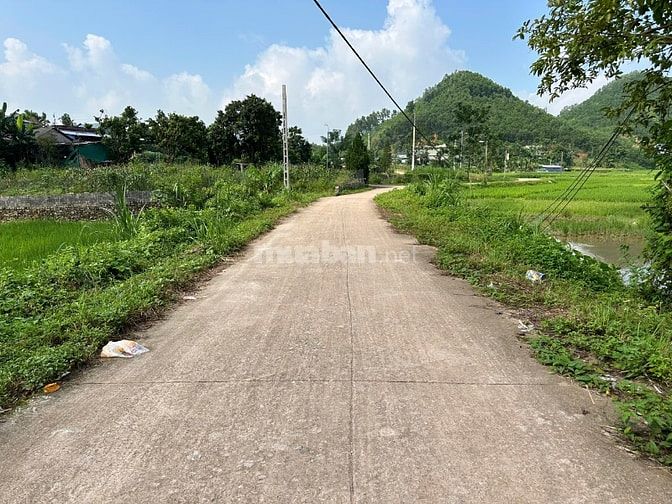 🌺 CHỈ 4xx TR*IỆU 🌺 ⭐️ Sở hữu ngay lô đất gần 250m2 có 70m2 thổ cư