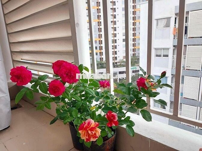 1PN FULL NỘI THẤT KHU MIZUKI PARK
