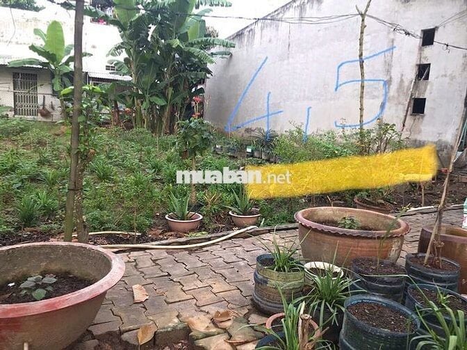 ĐẤT NỀN CHỢ VŨNG LIÊM VĨNH LONG