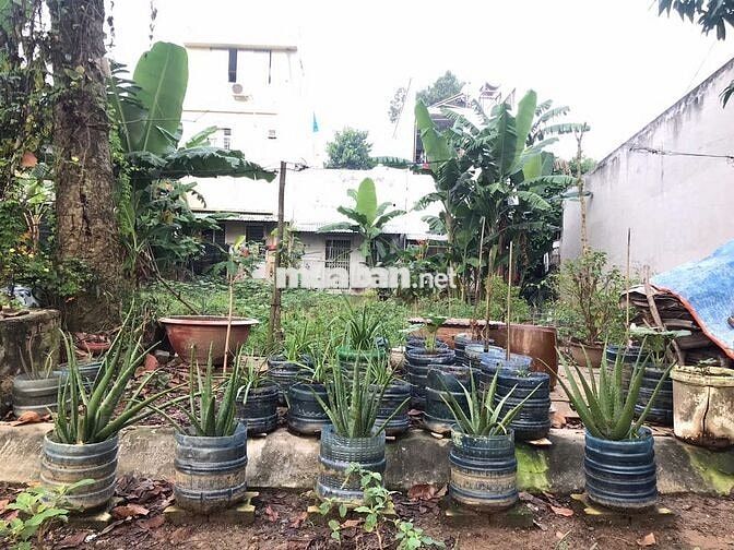 ĐẤT NỀN CHỢ VŨNG LIÊM VĨNH LONG
